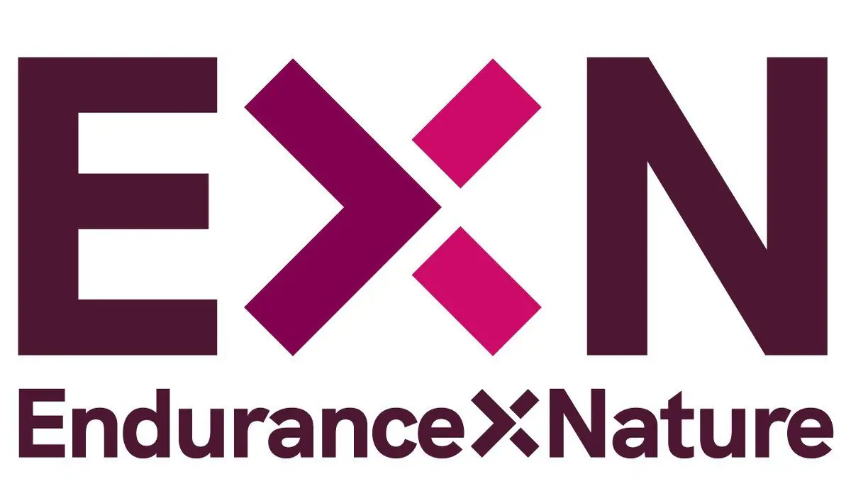 ExN Social – vegan bakery in Green Street Green, London